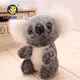 Peluche Super mignon petit ours Koala 16CM nouvelle collection poupée aventure cadeau