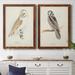 Loon Peak® Barn Owl Premium Framed Canvas - Ready To Hang Canvas, Solid Wood in White | 24 H x 36 W x 1.5 D in | Wayfair