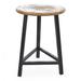 Carbon Loft Lakanto Reclaimed Solid Wood Counter Height Stool