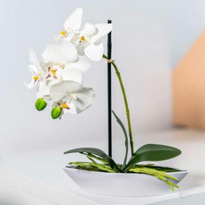 Kunstpflanze Orchideenarrangement, 28 cm
