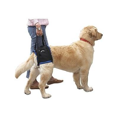 WALKABOUT Original Back End Harness, Black, Medium/Large