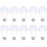 Lot de 10 Ampoules E27 12W A65 Équivalent 75W - Blanc du Jour 6000K
