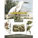 Audubon's Birds Of America: 24 Art Cards (Card Books)
