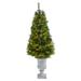 The Holiday Aisle® 4' 6" H Slender Green Pine Cashmere Christmas Tree w/ 100 LED Lights in Green/White | 54 H x 18 W in | Wayfair