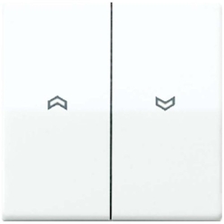 Jung Wippe Symbole aws AS 591-5 P BF WW AS591-5PBFWW Image