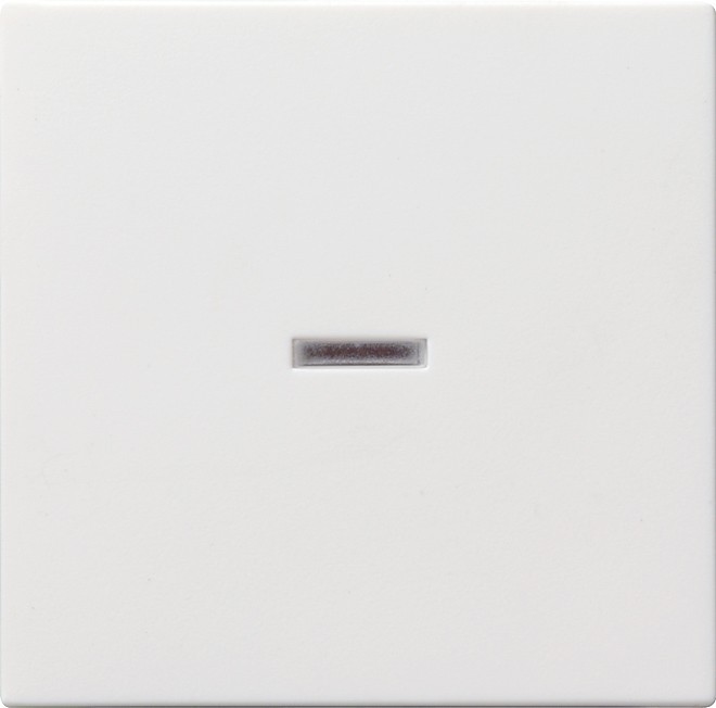 Gira Wippe rws 029027 Image