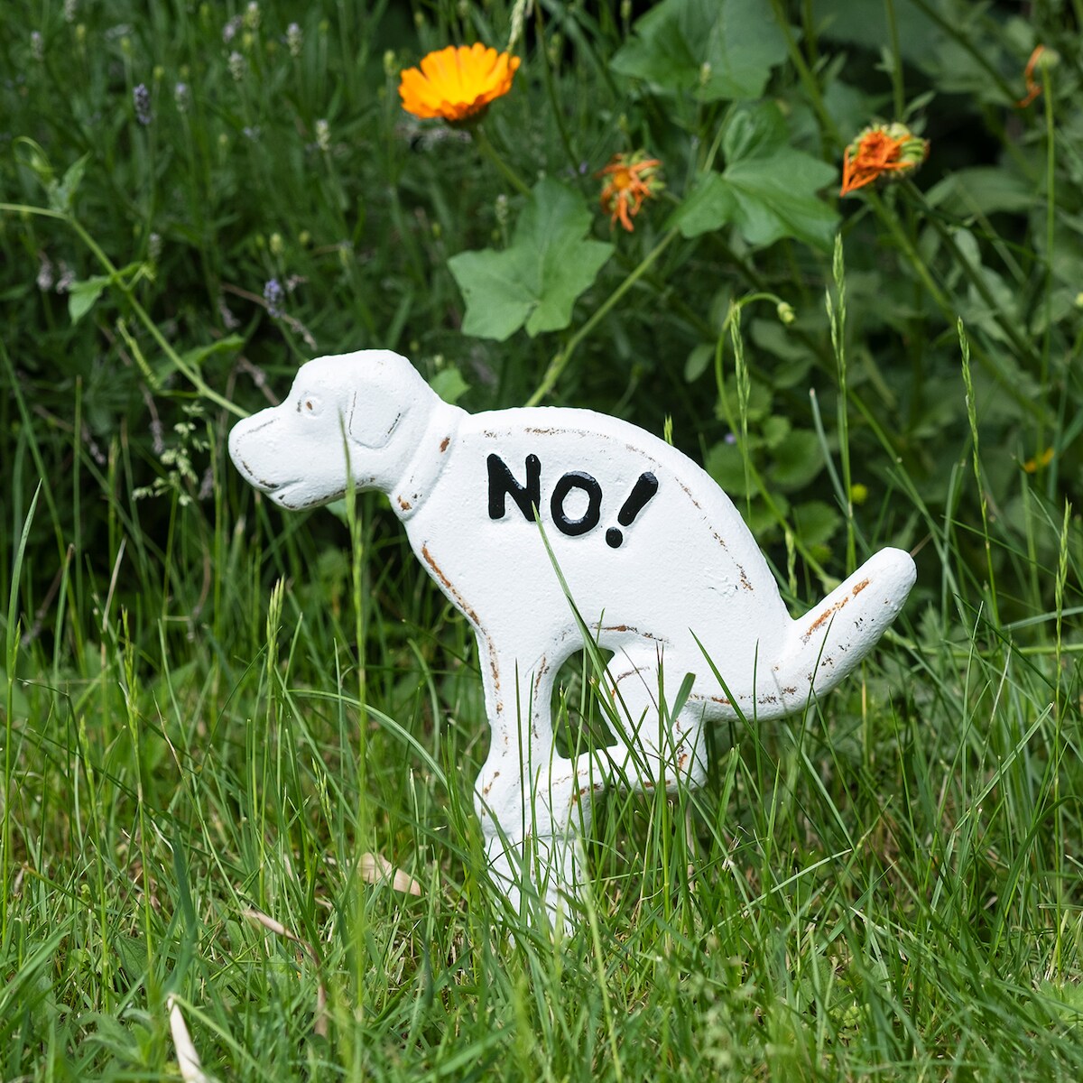 Moritz Steckschild NO! kein Hundeklo groß Verbotsschild aus Gusseisen Hunde Verboten Warnschild NO Dog allowed Schild Gartenschild keine Hundetoilette Image