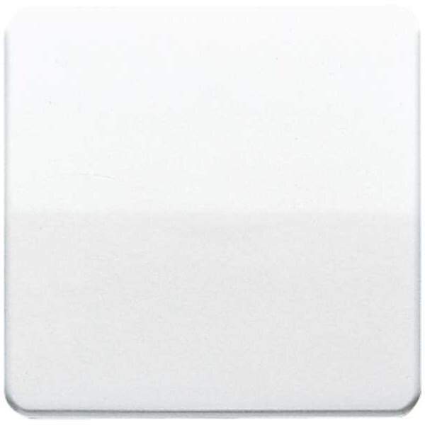 Jung Wippe lgr CD 590 LG CD590LG Image