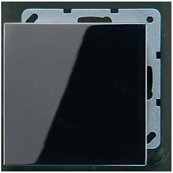 Jung Blind-Abdeckung sw LS 994 B SW LS994BSW Image