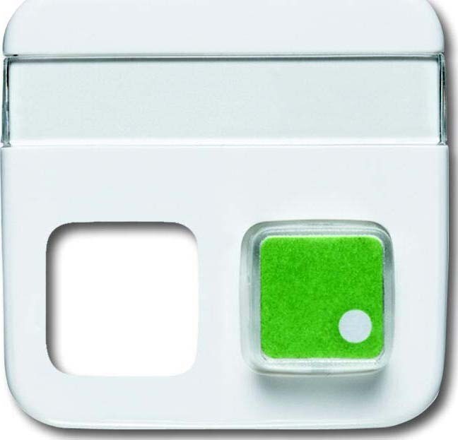 Busch-Jaeger Zentralscheibe aws 1572 CN-214 2CKA001582A0347 Image