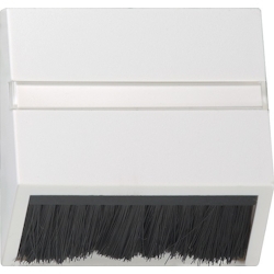 Gira Zentralplatte rws-gl 068203
