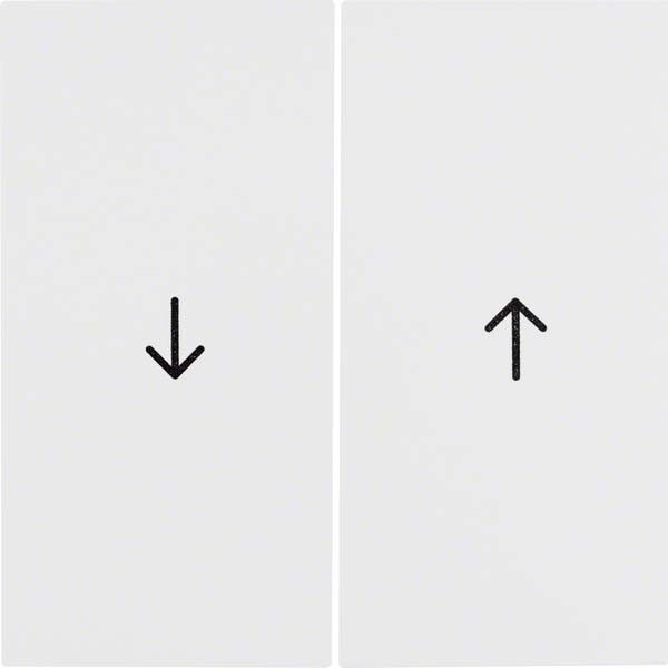 Berker Wippe pws/gl 16258989 Image