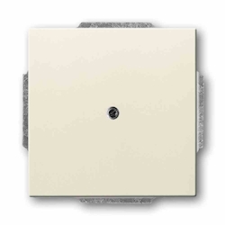 Busch-Jaeger FUTURE LINEAR Tragring, Blindabdeckung, elfenbein-weiß, glänzend, Krallen-/Schraubbefestigung, ohne Beschriftungsfeld Image