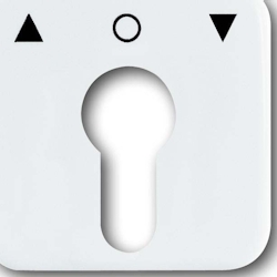 Busch-Jaeger Zentralscheibe aws 2557 PZ-214-101 2CKA001710A1415 Image