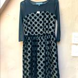 Anthropologie Dresses | Anthropologie Black Polka Dot Velvet Dress Nwt Size Xs $45 | Color: Black | Size: 2