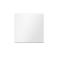 Berker Taste 1fach 85141129 Image