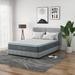 Twin Medium 12" Innerspring Mattress - Serweet & Box Spring | 75 H x 39 W 12 D in Wayfair WF-STB12T