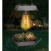 Regal Art & Gift Edison Succulent Solar Lantern - Diamond Aluminium/Metal in Gray | 11 H x 9 W x 4 D in | Wayfair 13090