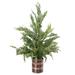 Northlight Seasonal 24" Iced Cedar Artificial Christmas Tree in Plaid Pot - Unlit Ceramic/Fabric in Green | 24 H x 4 W x 15 D in | Wayfair