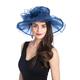 SAFERIN Women's Organza Church Kentucky Derby Fascinator Bridal Tea Party Wedding Hat, Mn-navy Bowknot, One Size