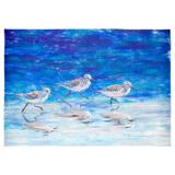 "Liora Manne Illusions Sea Birds Indoor/Outdoor Mat Ocean 1'7"" x 2'5"" - Trans Ocean ILU12335104"