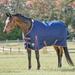 SmartPak Deluxe Turnout Blanket with Earth Friendly Fabric - 72 - Heavy (360g) - Navy w/ Merlot & Silver Trim & Silver Piping - Smartpak