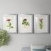 Red Barrel Studio® Pretty Pink Botanicals II Premium Framed Print - Ready To Hang Canvas, in Black/Blue/Green | 42.5 H x 91.5 W x 1 D in | Wayfair