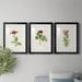 Red Barrel Studio® Pretty Pink Botanicals II Premium Framed Print - Ready To Hang Canvas, in Black/Blue/Green | 42.5 H x 91.5 W x 1 D in | Wayfair