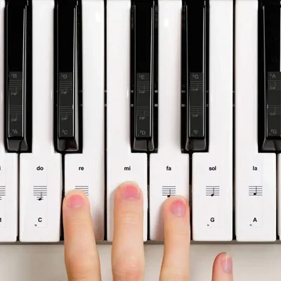 Autocollants transparents pour piano étiquette en PVC portée électronique notes nominatives
