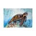 East Urban Home Floating Sea Turtle by Kim Winberry - Wrapped Canvas Gallery-Wrapped Canvas Giclée Canvas | 12" H x 18" W x 1.5" D | Wayfair