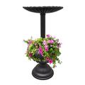 Canora Grey Nordland Birdbath Metal in Black | 35 H x 16 W x 16 D in | Wayfair 0642EEFF428F472681D35B66816F68B4