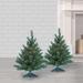 The Holiday Aisle® 2' H Green Spruce Christmas Tree w/ 100 Lights in White | 1.58 W x 19 D in | Wayfair FCBAB3206C99490499FC01A1A950EC34
