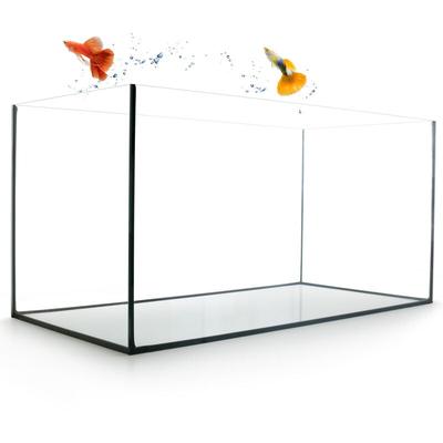 Aquarium Becken rechteckig standard Größen Glas Aquariumbecken Garnelenaquarium Mini Aquarium