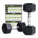 PhysKcal Hex Dumbbells Set 7.5kg Pair, Odourless Poly Rubber Encased Dumbbells 2.5KG 5KG 7.5KG 10KG 12.5KG 15KG 20KG Pair or Single Home Gym Weights Set, 2.5KG Pair