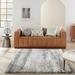 Nourison Dreamy Shag Contemporary Abstract Area Rug