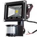 GLW 12V AC or DC LED Motion Sensor Flood Light,10W Mini IP65 Waterproof Outdoor Light,900LM,6000K,Daylight White Security Light with PIR,80W Halogen Bulb Equivalent[NO Plug]