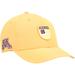 Men's Gold Minnesota Golden Gophers Nation Shield Snapback Hat