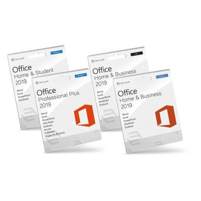 Microsoft Office: Professional P...