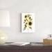 Rosalind Wheeler Sunflower Composition I Canvas | 12 H x 8 W x 1.25 D in | Wayfair 29AB32369B95447DA0EB8C2B6A5A2866