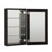 Latitude Run® Adine 19-In X 30-In Aluminum Mirrored Bathroom Medicine Cabinet w/ Adjustable Glass Shelves In Satin in White/Black | Wayfair