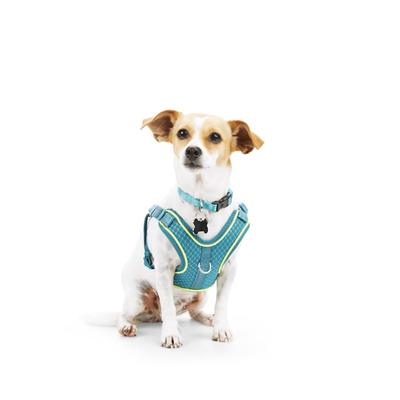 EveryYay Front Walking Reflective Dog Harness, Teal, XX-Small/X-Small