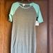 Lularoe Dresses | Lularoe Nwt Small Gray & Mint Julia Dress | Color: Gray/Red | Size: S