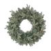 Kurt Adler 24" Lighted Polyvinyl Chloride (PVC) Wreath Traditional Faux in Green/White | 5 H x 54 W x 24 D in | Wayfair P71241LEDWW
