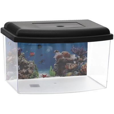 Mini Aquarium Terrarium Faunarium Zucht Becken klein Fisch Triops Garnelen Acryl Kunststoff Plastik