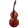 Scala Vilagio Double Bass Gamba 5-Str. IB