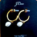 J. Crew Jewelry | J Crew Hammered Hoop Freshwater Pearl Earrings Item Ay775 Gold+Pearl | Color: Gold/White | Size: Os