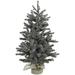Christmas Time Yardville Green Pine Christmas Tree w/ LED Lights in White | 23 W in | Wayfair CT-YV042-ML