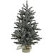 Fraser Hill Farm 4.0' Heritage Pine Tree - Multi LED Lights