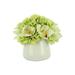 Primrue Mixed Floral Arrangement in Vase Silk/Plastic in Green | 9 H x 9.5 W x 9.5 D in | Wayfair CCE1859768AC4C2DBF9A87942D925E25