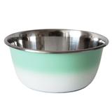 Stainless Steel Deep Dog Bowl - Coral by JoJo Modern Pets in Green (Size 32 OZ)